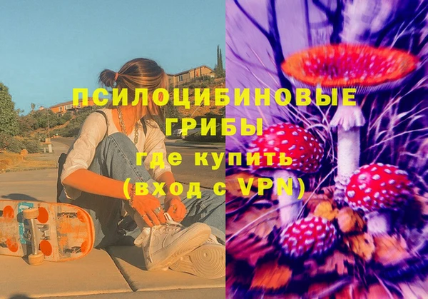 трава Шадринск