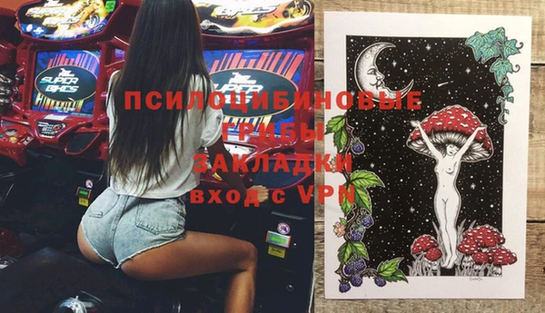 гидра Шали