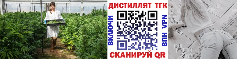 наркота  Сорск  ТГК THC oil 