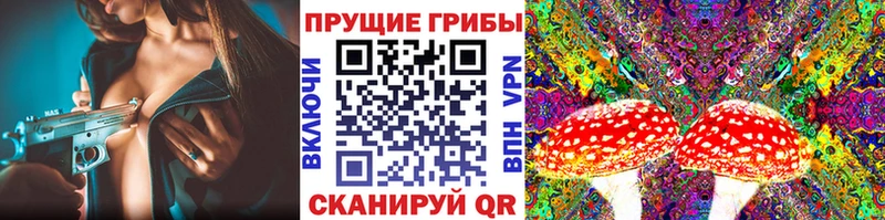 наркота Сорск Галлюциногенные грибы прущие грибы
